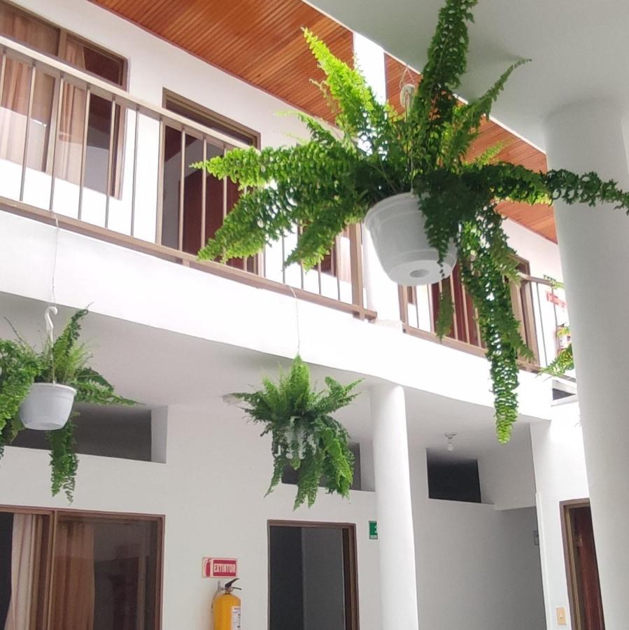 Luna Verde Hotel 内瓦 外观 照片