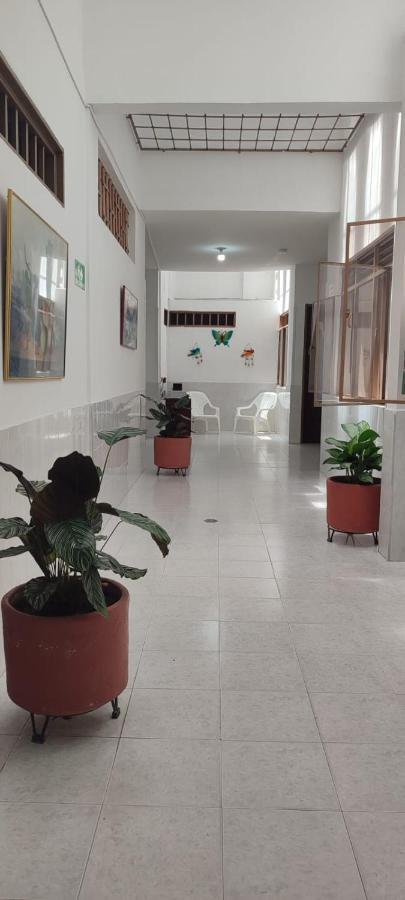 Luna Verde Hotel 内瓦 外观 照片